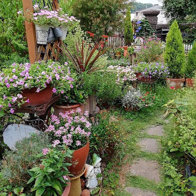 haruiroさんの部屋