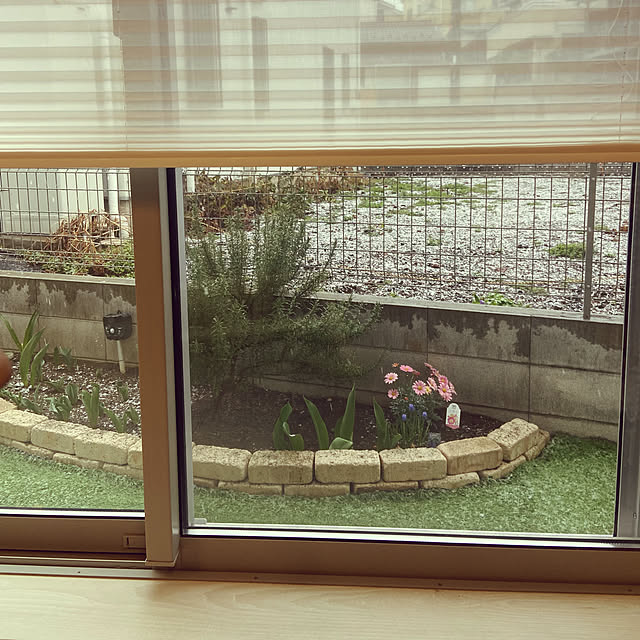 Haruさんの実例写真