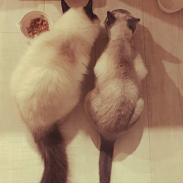 niko-25さんの実例写真