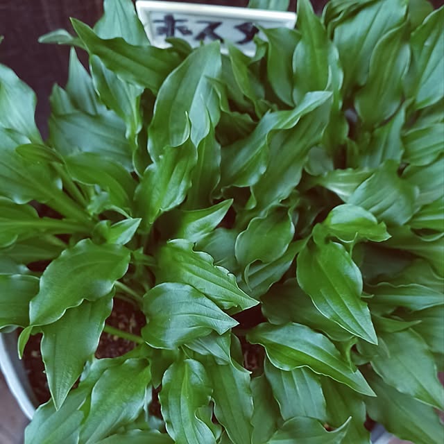 hiro.904さんの実例写真