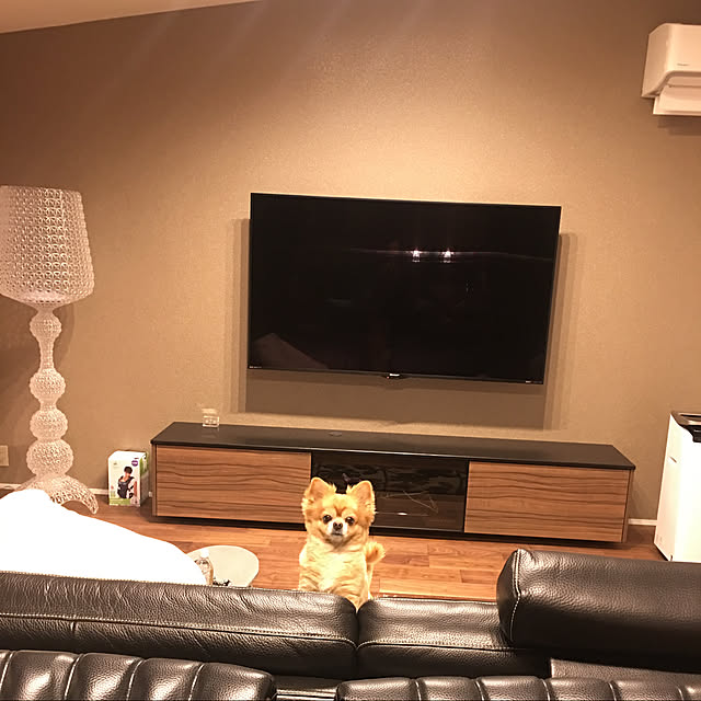 jp_fumiさんの部屋