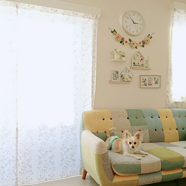 PAOさんの実例写真