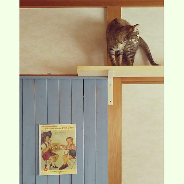 R.chocolate16さんの実例写真
