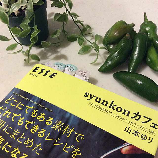 mamezoさんの実例写真