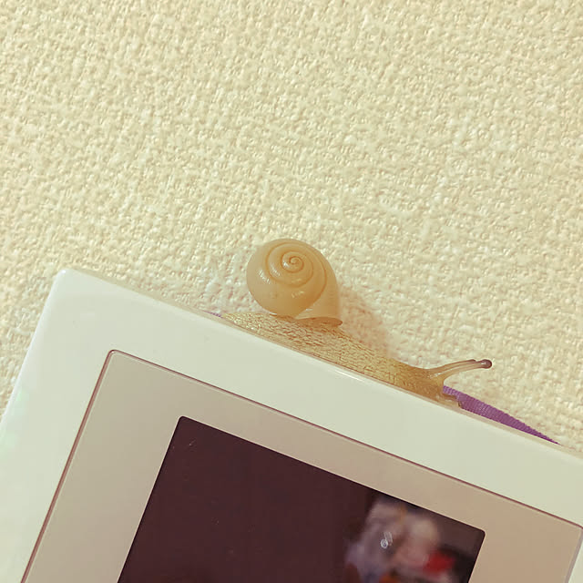kotaさんの実例写真