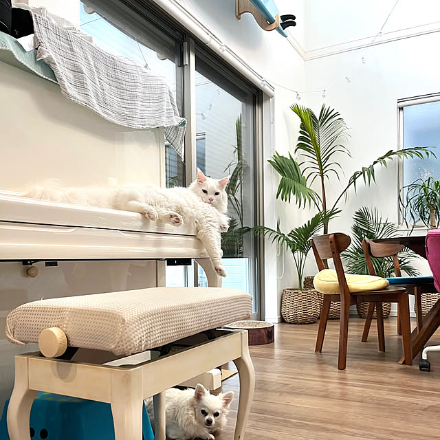 Lionaさんの実例写真