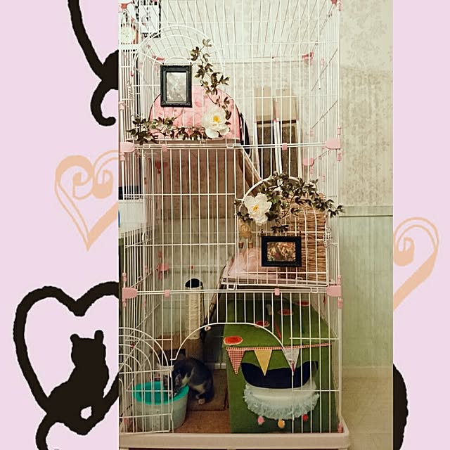 totoko3927さんの実例写真