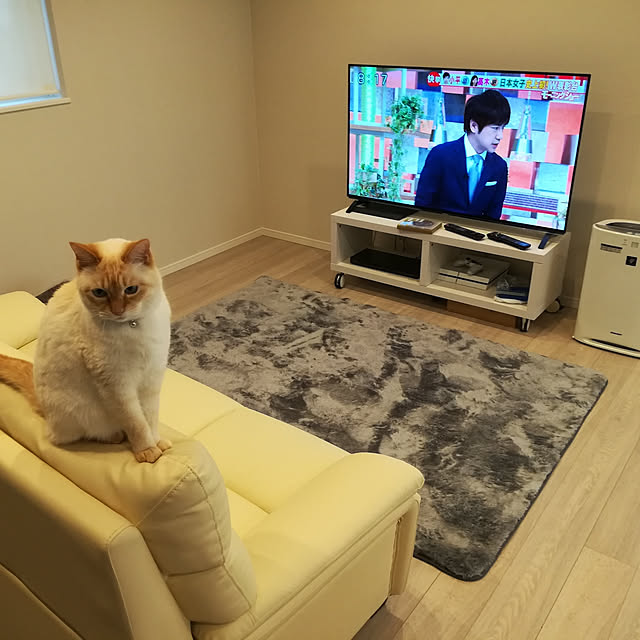 nikeyamaさんの実例写真