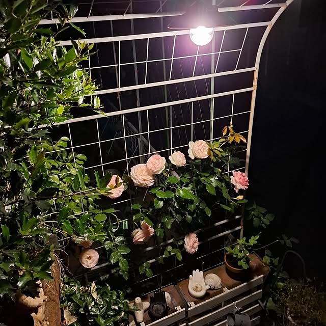 midoriさんの部屋