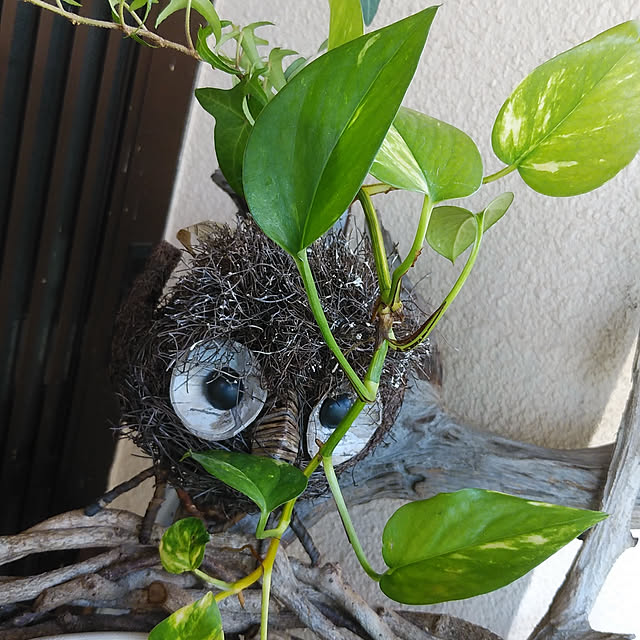 non.nonさんの実例写真
