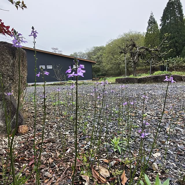 Rubiconさんの部屋