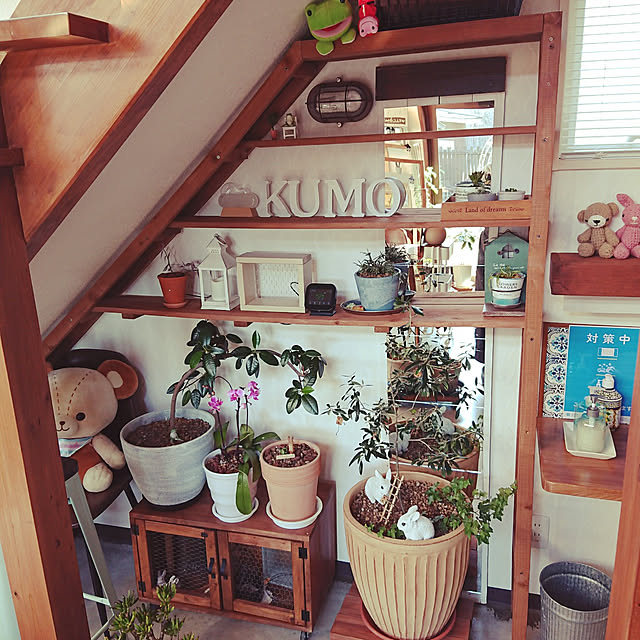 cafe-kumo-さんの実例写真