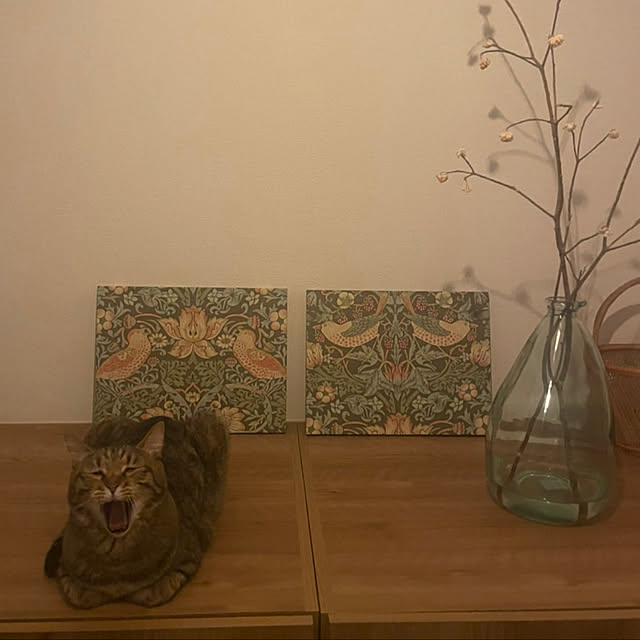 kabosuさんの実例写真