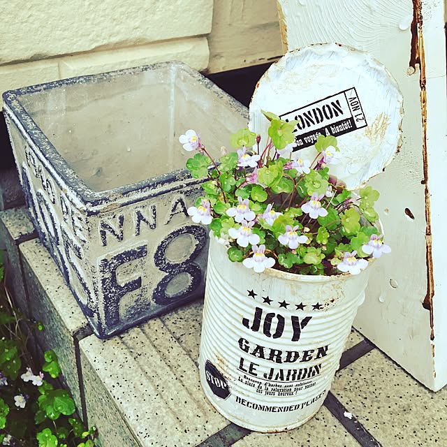 Masakoさんの実例写真