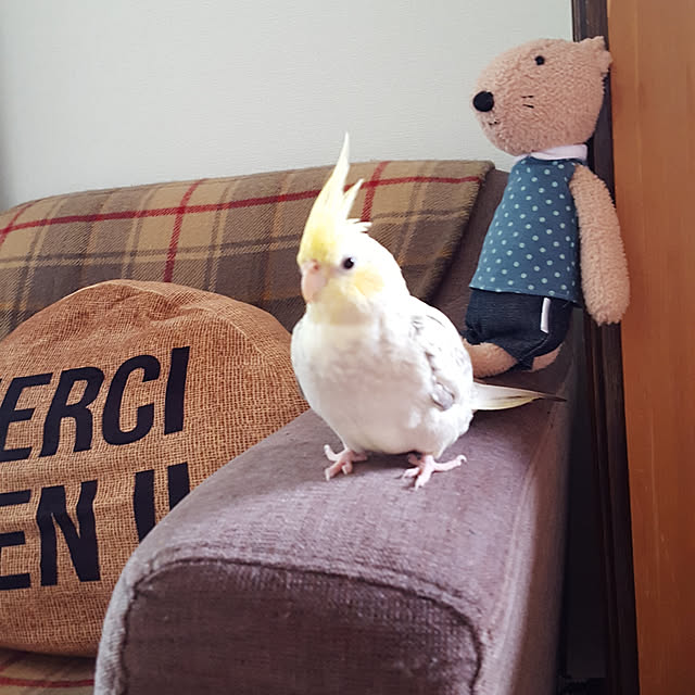 hiroさんの実例写真