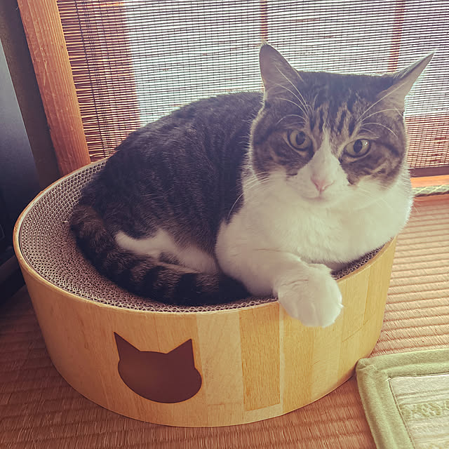 nanohanaさんの実例写真