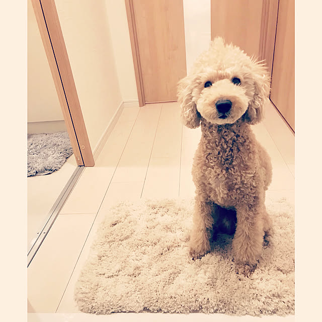 YOOOKOさんの実例写真