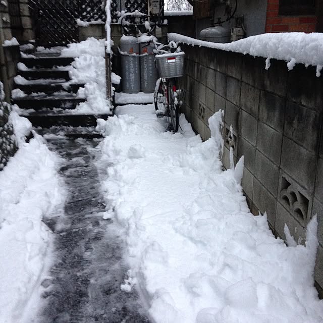 mikyuさんの実例写真