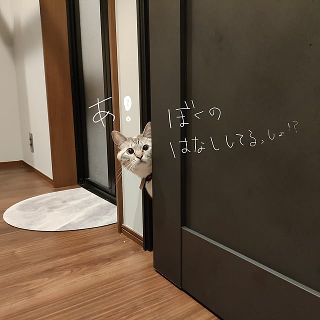 Atelier_tamakiさんの部屋