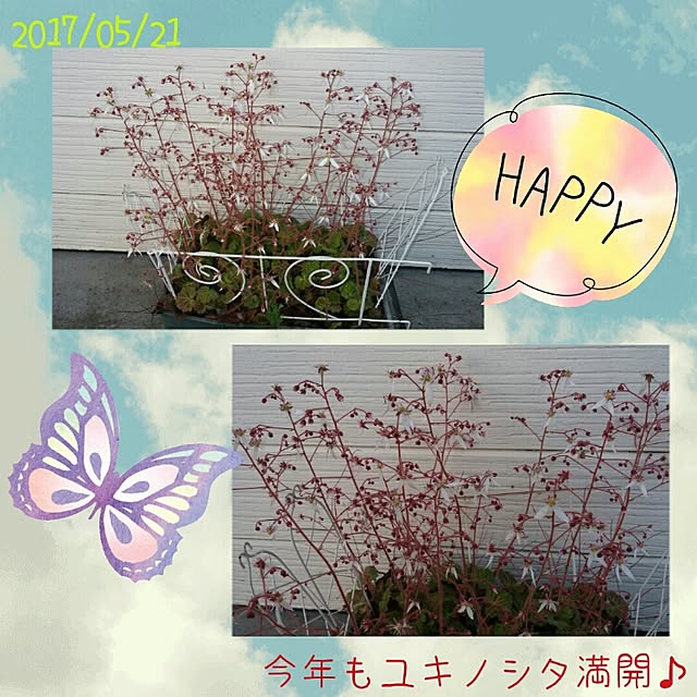 Yumiさんの実例写真