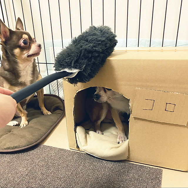 namiheeeeyさんの実例写真