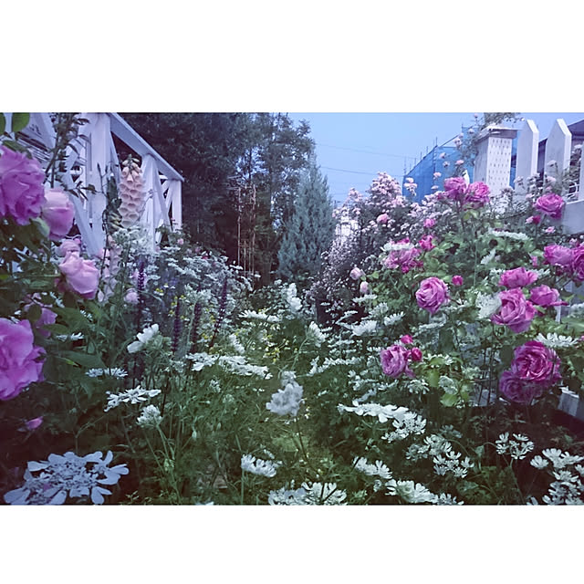 kiyosukeさんの実例写真