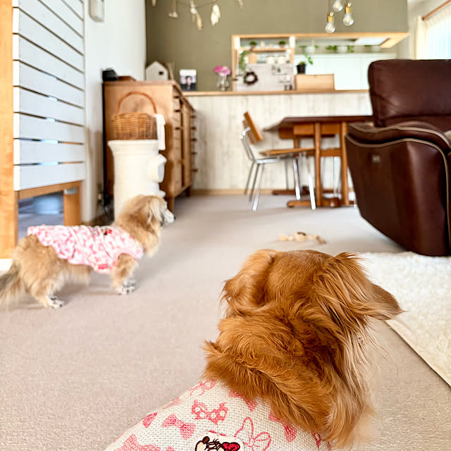 chachamamaさんの部屋