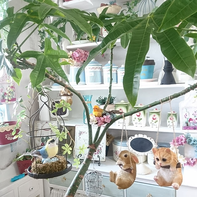 ruruさんの実例写真