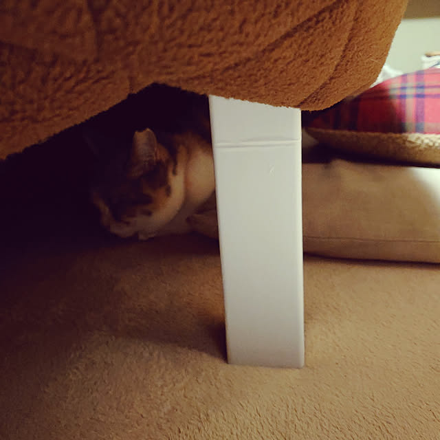 fukuさんの実例写真