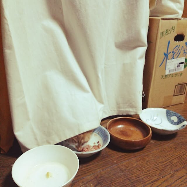 kamechanさんの実例写真