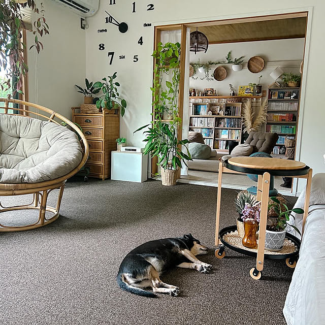 mugijunさんの実例写真