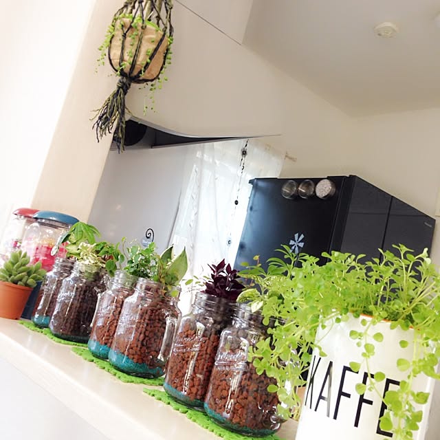 キッチン/セリア/植物のインテリア実例 - 2015-05-12 14:00:39