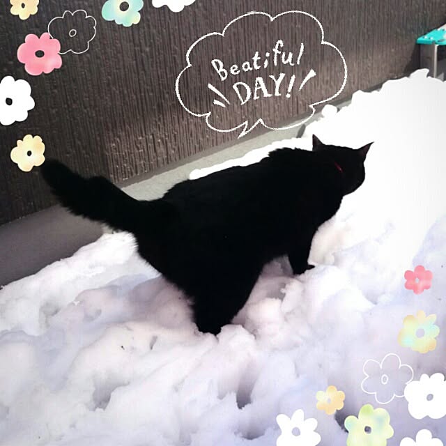 kikinanaさんの実例写真