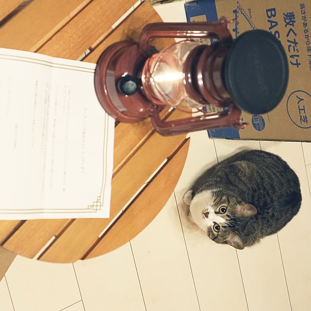 hanacocoさんの部屋