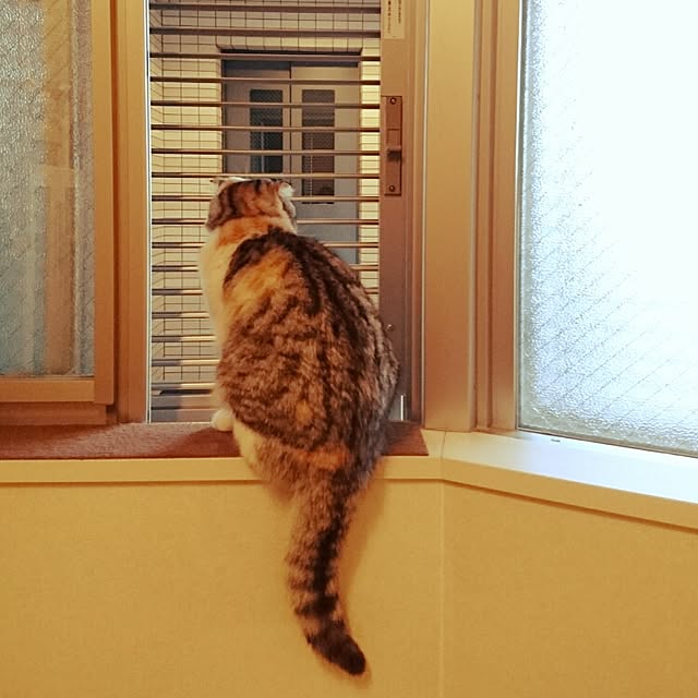Sachiさんの実例写真