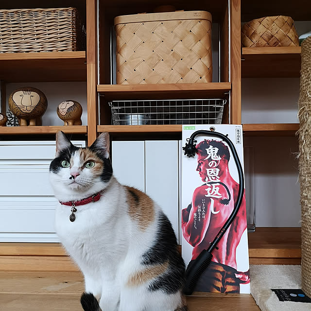 koyurizuさんの実例写真