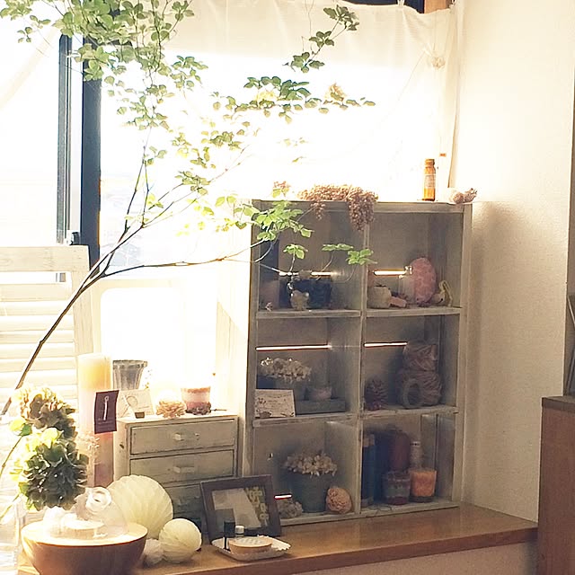 Chiduruさんの実例写真