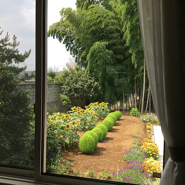 houenさんの実例写真