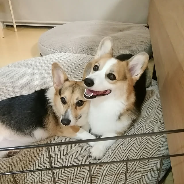 marutinoさんの実例写真