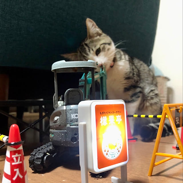 nacchi4さんの実例写真