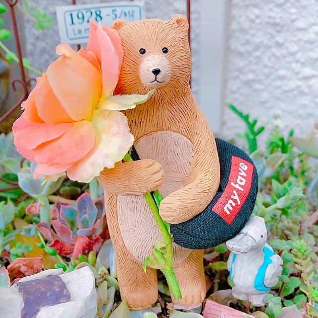 Hanakaさんの実例写真
