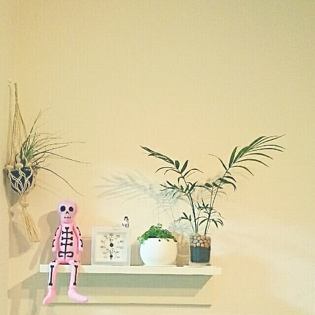 ametistaさんの実例写真