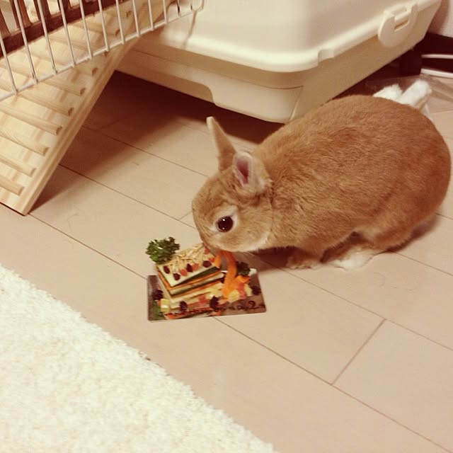 moriayaさんの実例写真