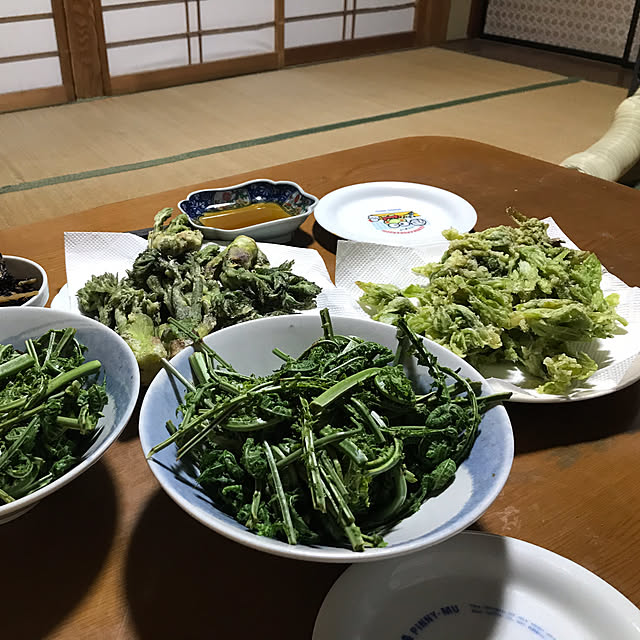 aoinokimiさんの部屋