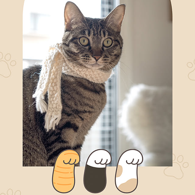 oliveさんの部屋