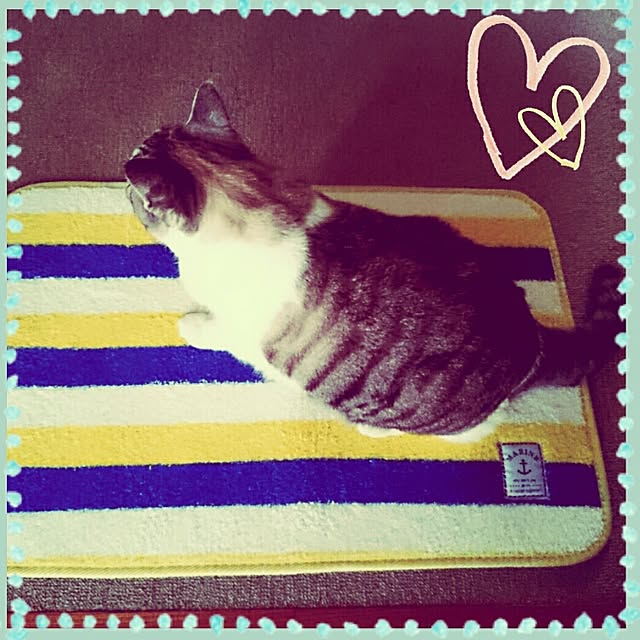 blueさんの実例写真