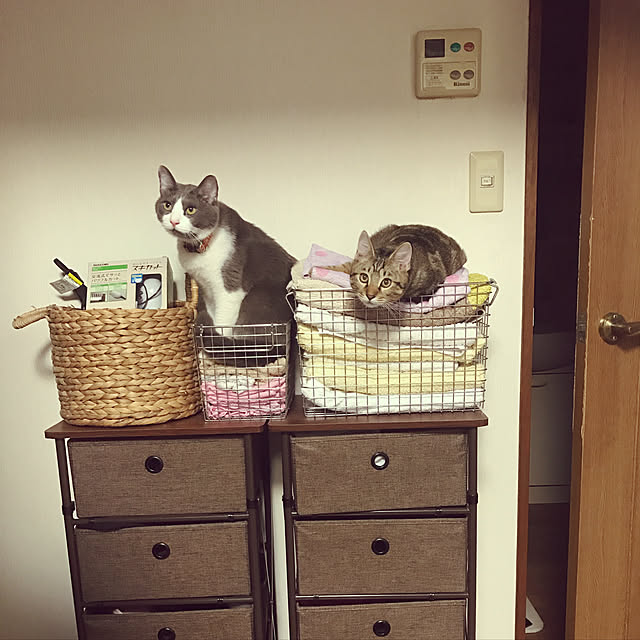 hacchiさんの実例写真