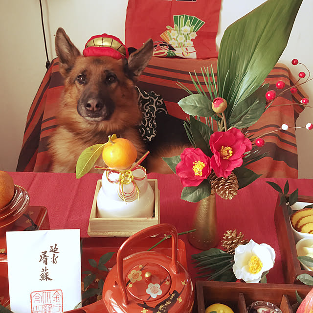 uooさんの実例写真