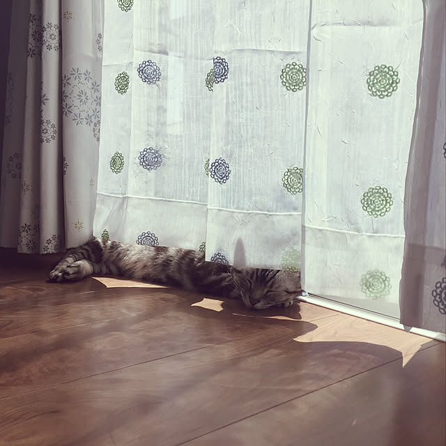 moguさんの実例写真