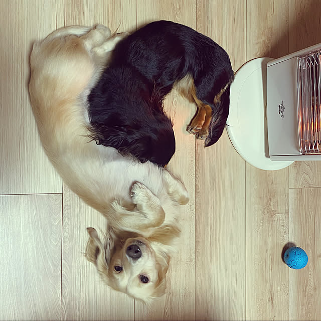uninekoさんの実例写真